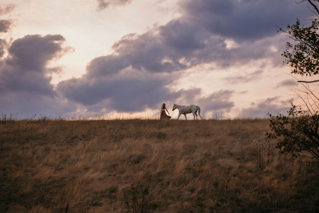 Girl leading her horse through a field at sunset in the pacific northwest